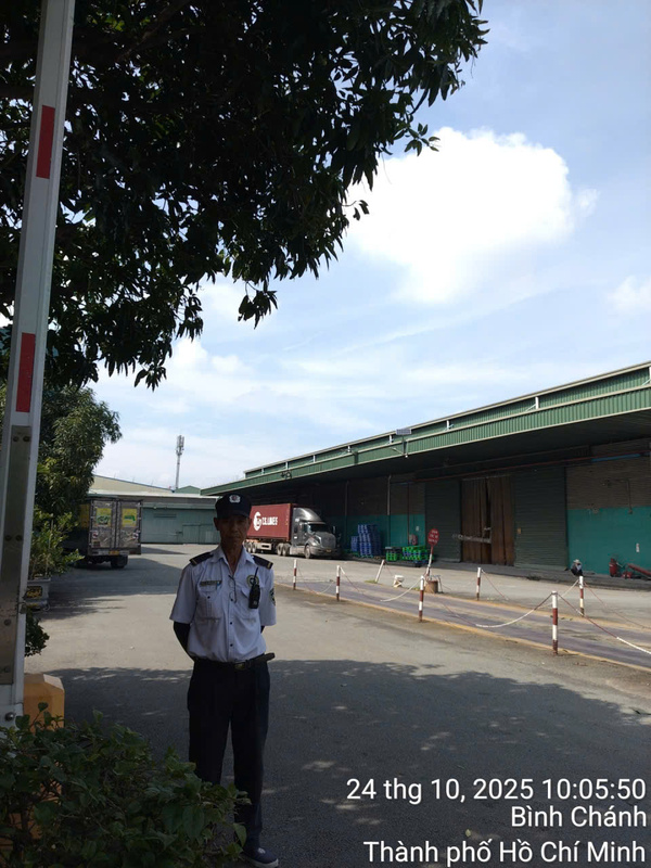 Hình ảnh hoạt động thực tế